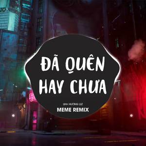 Đã Quên Hay Chưa (Meme Remix)