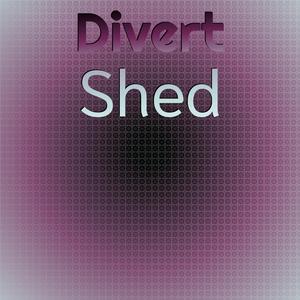 Opportunity Perspective