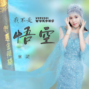 我不是悟空 (感悟版和声伴奏)