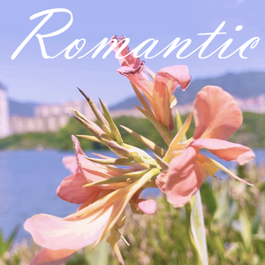 Romantic（cover：SEKAI NO OWARI）