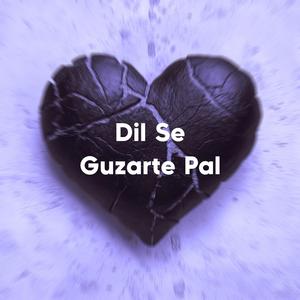 Dil Se Guzarte Pal