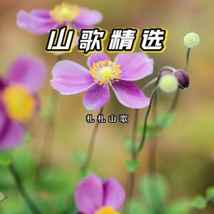 买回一辆新摩托