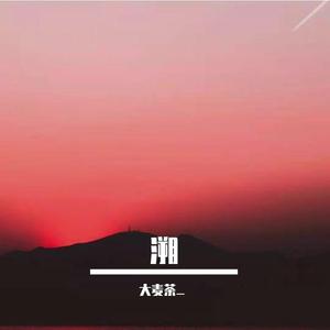 画心（温柔吗？拿命换的。）