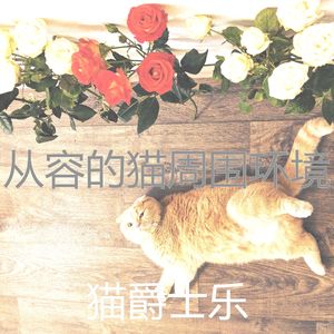 温和小猫梦想