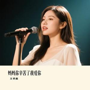 妈妈你辛苦了我爱你