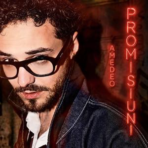 Promisiuni