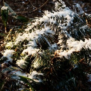 Selenadia（Pure instrument remix）