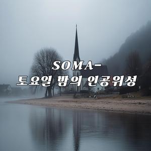 토요일 밤의 인공위성