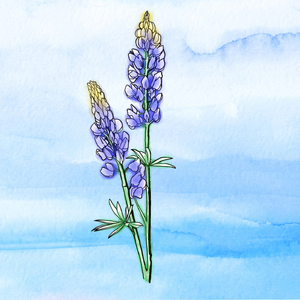 Reasons for Moving (ambient mix)