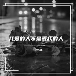 我爱的人不是爱我的人