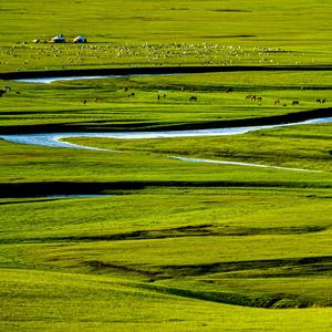 父亲的草原母亲的河