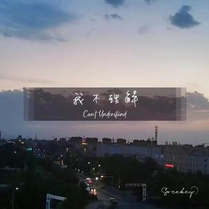 我不理解(prod.Lakewavebeatz)