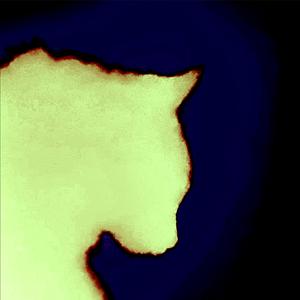 Expression A (Reverb)