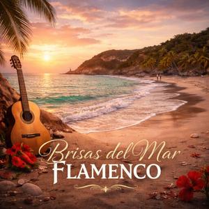 Nañana de flamenco