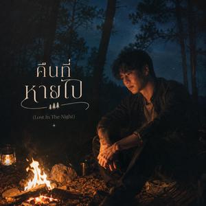 คืนที่หายไป (Lost In The Night)