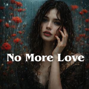 No More Love