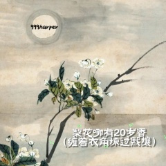 梨花哪有20岁香(缠着衣角掠过熙攘)