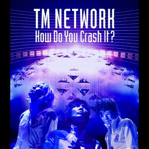 1/2の助走 -How Do You Crash It? LIVE ver.-