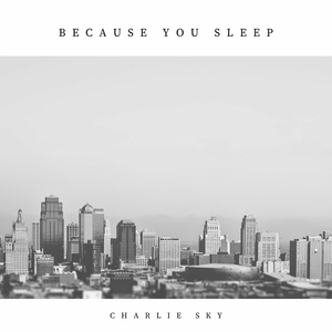 Because You Sleep