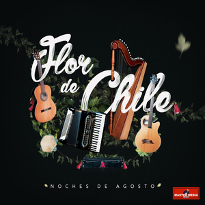 Abrigame / el Consuelo de Tus Dudas / la Mujer de Mis Sueños