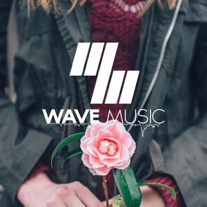 The Chainsmokers-Young （WuZQ Remix）