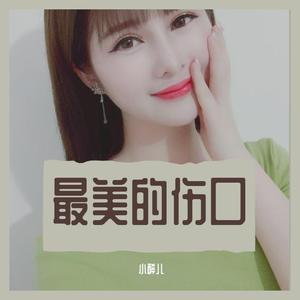 最美的伤口（翻自 半吨兄弟）