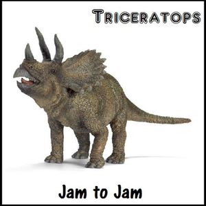 Jam to Jam