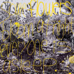 Some Flowers Bloom at Night When Everyone Is Asleep.