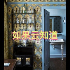 广寒宫 (游戏版)
