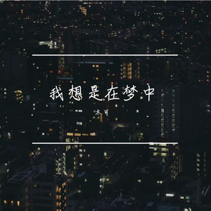 我想是在梦中