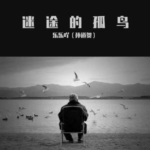 迷途的孤鸟