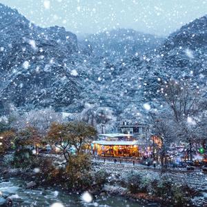 Where the Winter Touched You