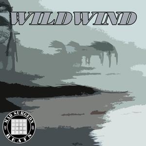 WILDWIND