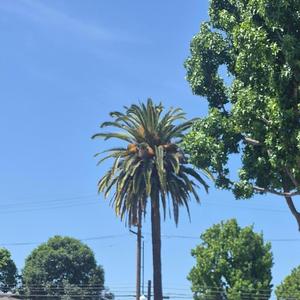 KARATE (feat. Artpluggg)