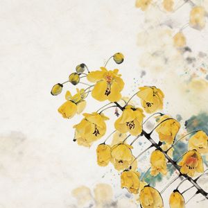 云实花