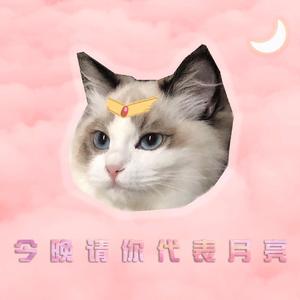 今 晚 請 妳 代 表 月 亮（prod by Mei）