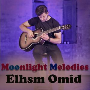 moonlight Melodies Guitar (feat. Elham Omid)