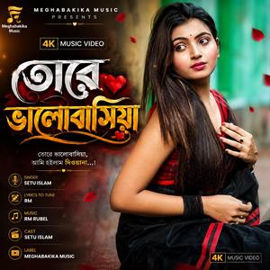 Tore valobashiya | তোরে ভালবাসিয়া....