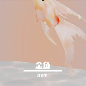 金鱼（雷朋同人曲）