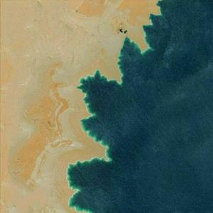 גאיה תראי (feat. כן עיגרת׳)