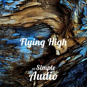 Flying High