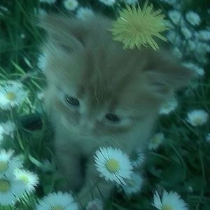 “Uniqueness” 情绪 ×Jerk type beat