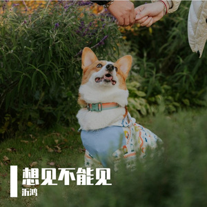 《想见不能见》