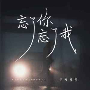 忘了你忘了我 (DJ沈念版伴奏)