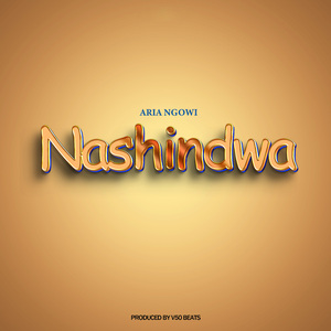 Nashindwa