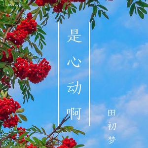 是心动啊（翻自 IU）