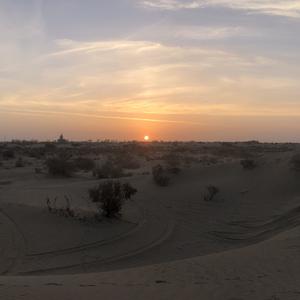 写给辛夷的歌（校园）