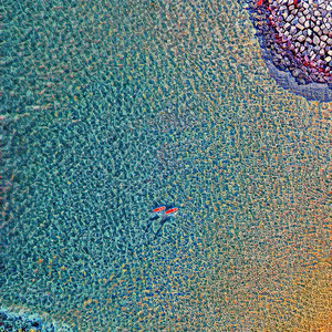 Sister Foolish Uncharitable