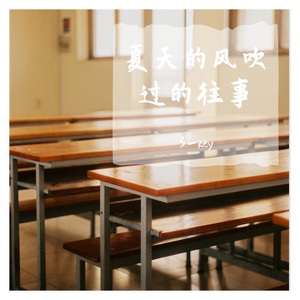 夏之风（remix）