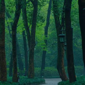 将自己的感受高高置顶